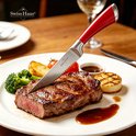 Swiss Haus® KSL6BU Set di Coltelli con Ceppo – 6 Pezzi – Coltelli da Cucina Professionali in Acciaio Inox – Include Santoku e Coltello da Chef – Lavabili in Lavastoviglie – Lake Geneva Collection – Rosso