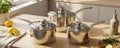 Swiss Haus® NC2009 Set di Pentole per Induzione – 9 Pezzi – Acciaio Inox